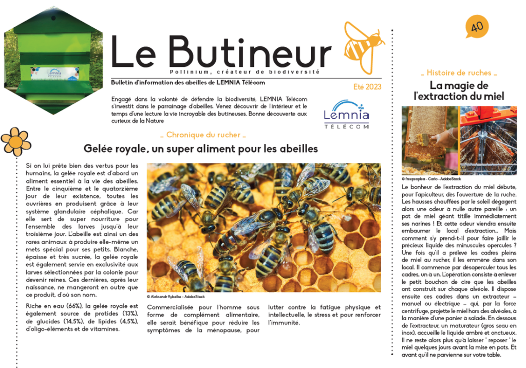 Article d'Automne, le butineur